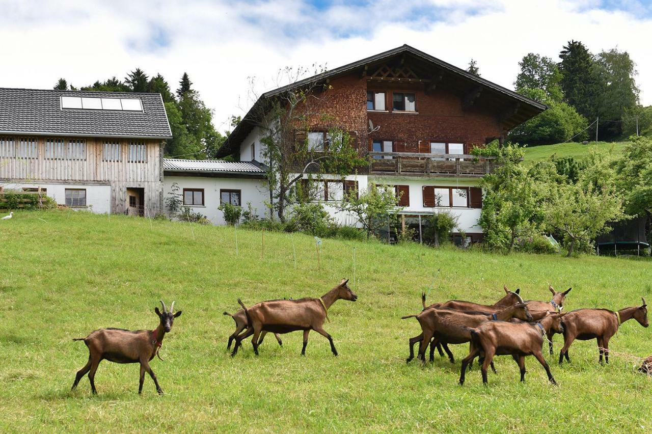 Apartamento Ferien In Feld 109 Langenegg Exterior foto